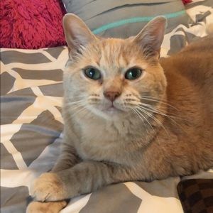 Meet your Posher, Ashley